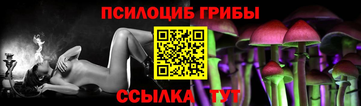 Псилоцибиновые грибы MAGIC MUSHROOMS  купить закладку  Партизанск  Вход с VPN 